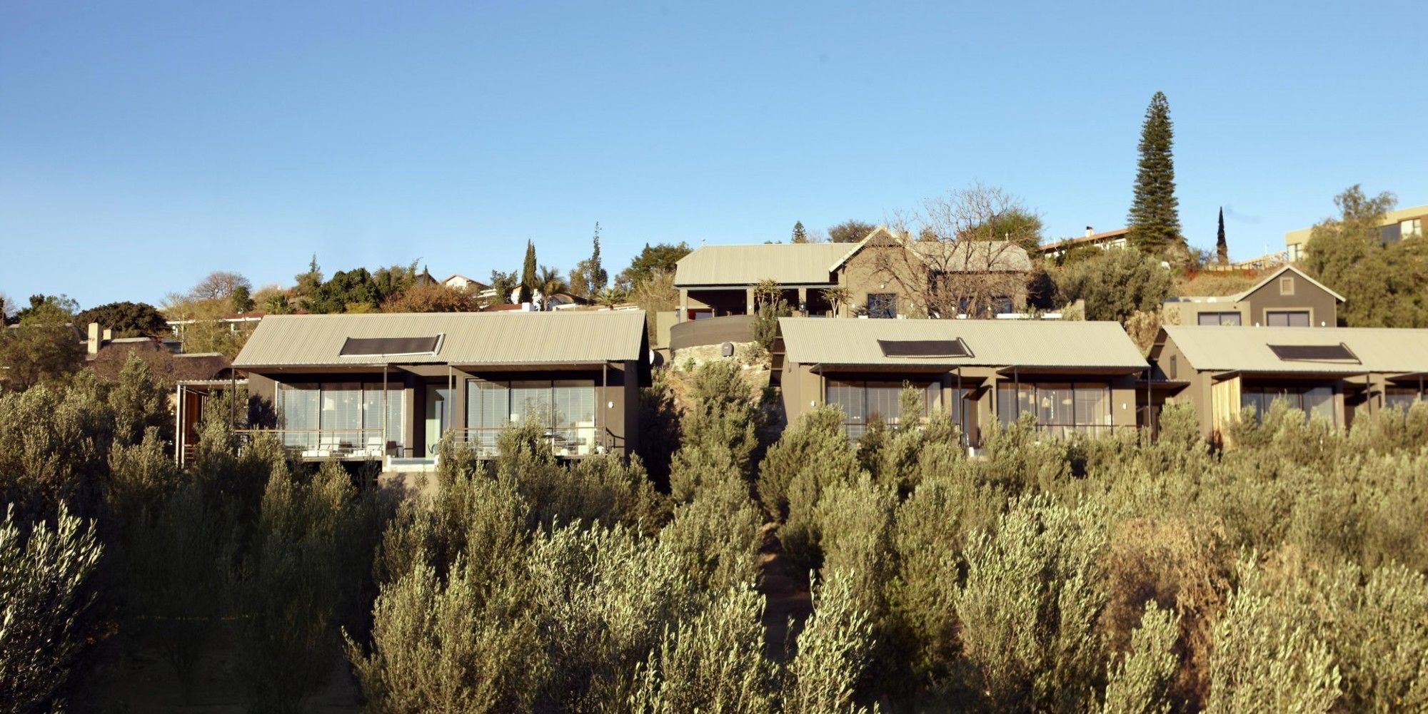 The Olive Exclusive All-Suite Hotel Windhoek Bagian luar foto